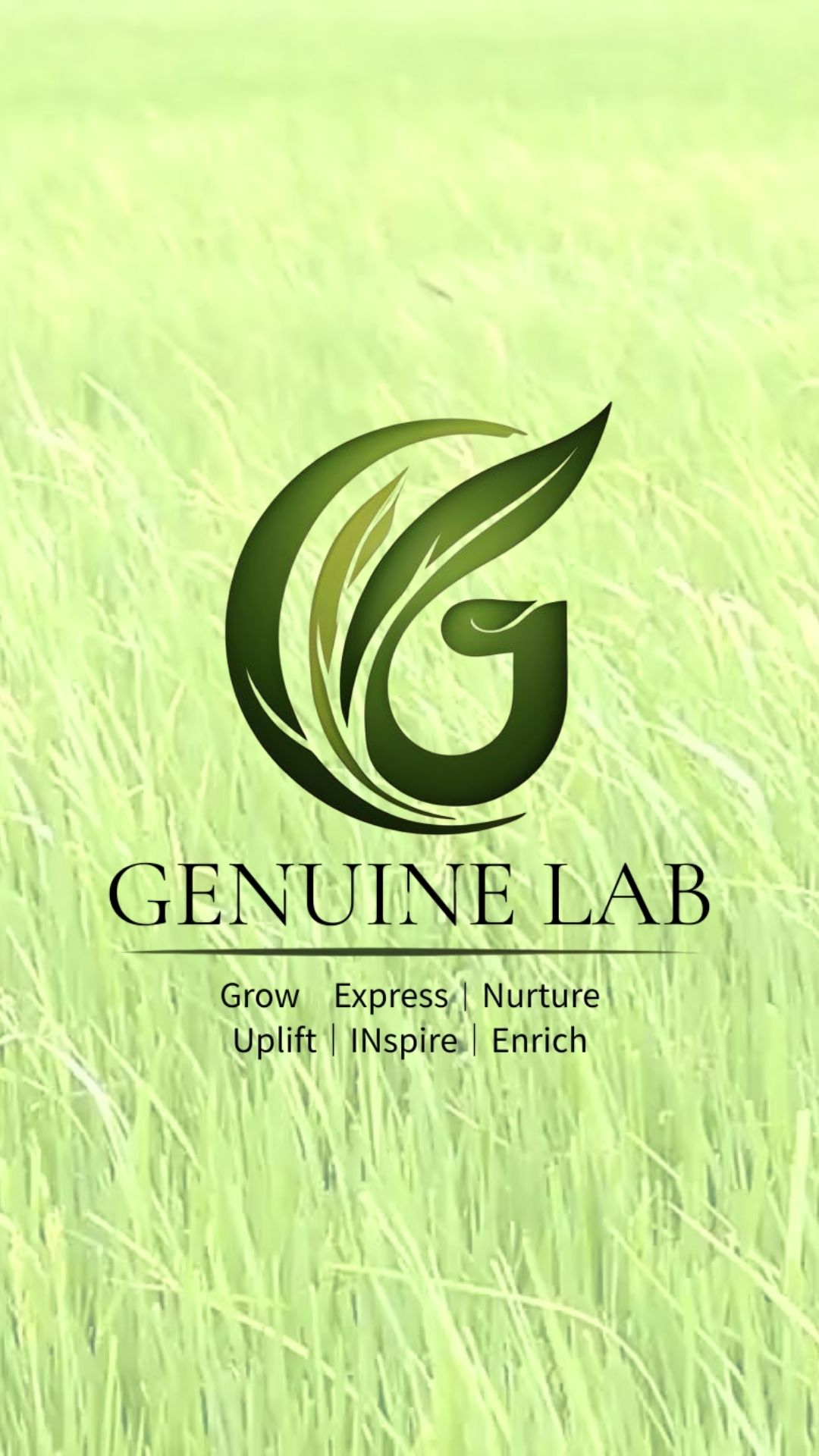 黄緑バックのロゴ