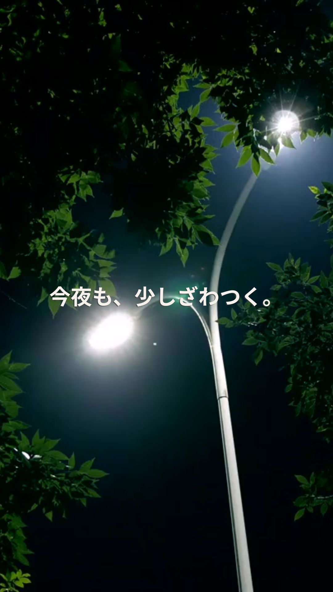今夜はざわつく