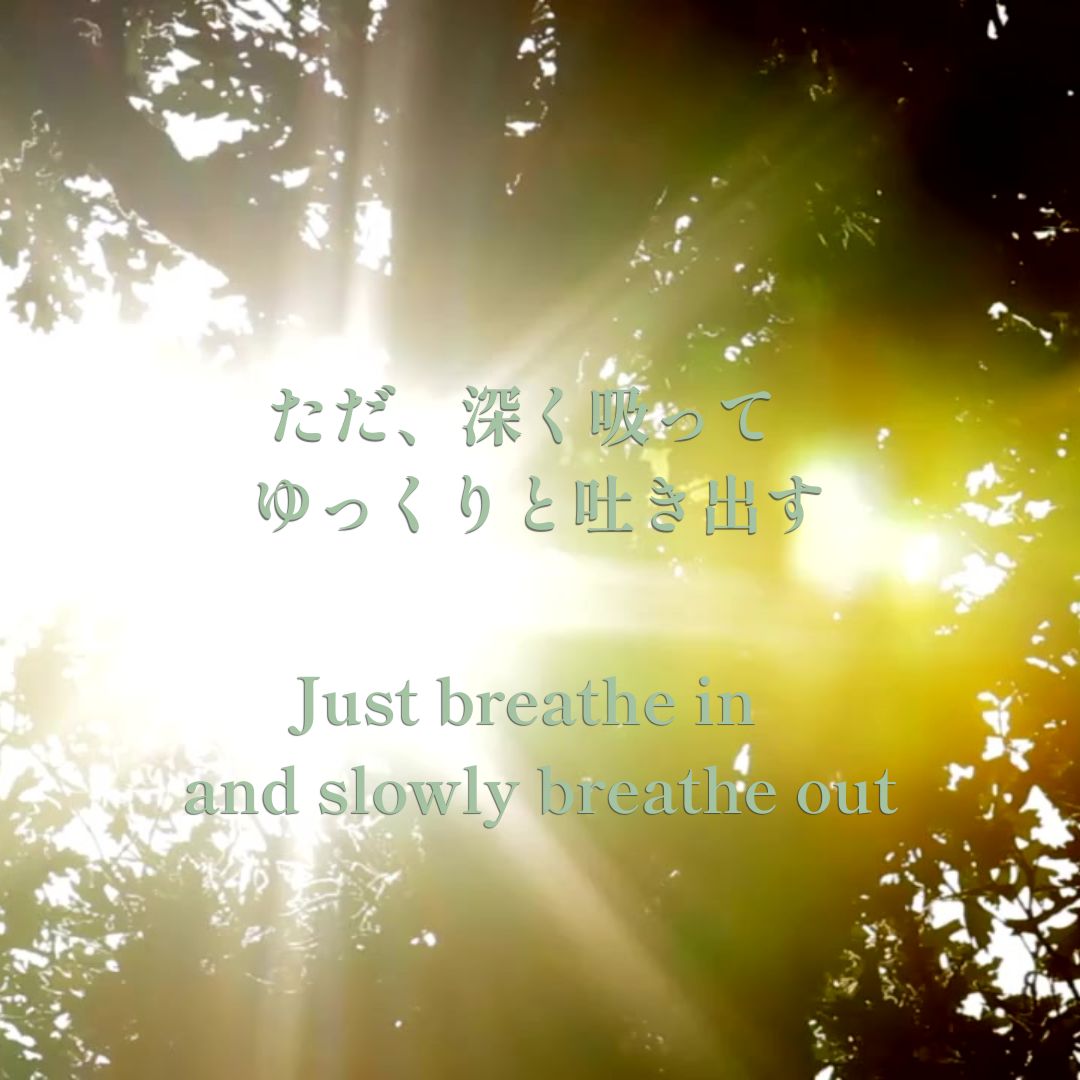 光さす