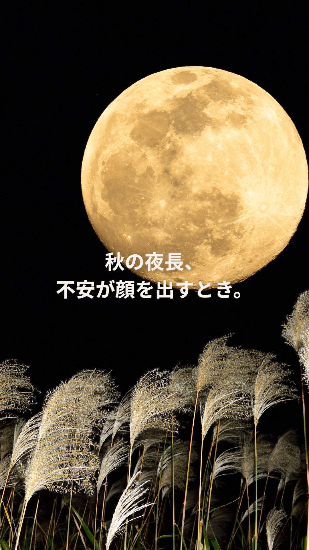 秋の夜長
