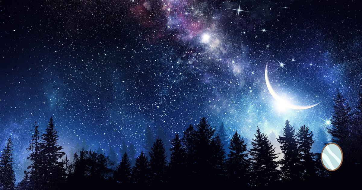 夜の森＋星空