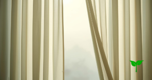 柔らかな朝の光の中で動き始める瞬間を象徴する構図。