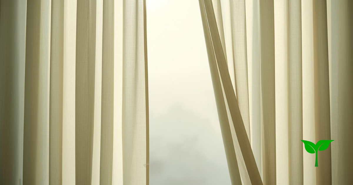 柔らかな朝の光の中で動き始める瞬間を象徴する構図。