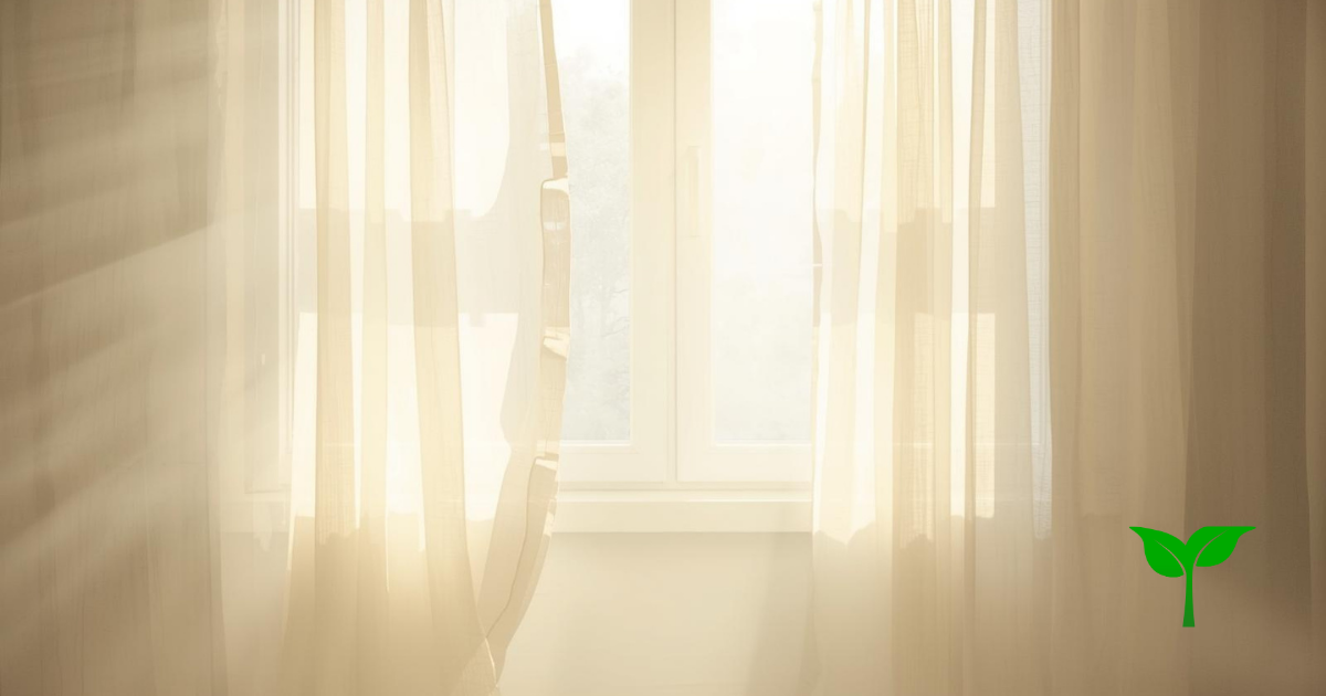 朝の窓辺に柔らかな光が差し込み、カーテンがふわっと揺れている。